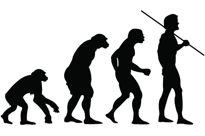 人類の進化論